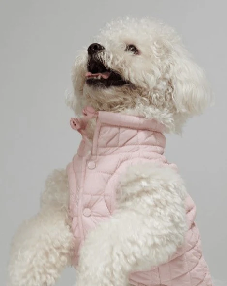 maxbone Easy Fit Jacket in Light Pink - Image 5