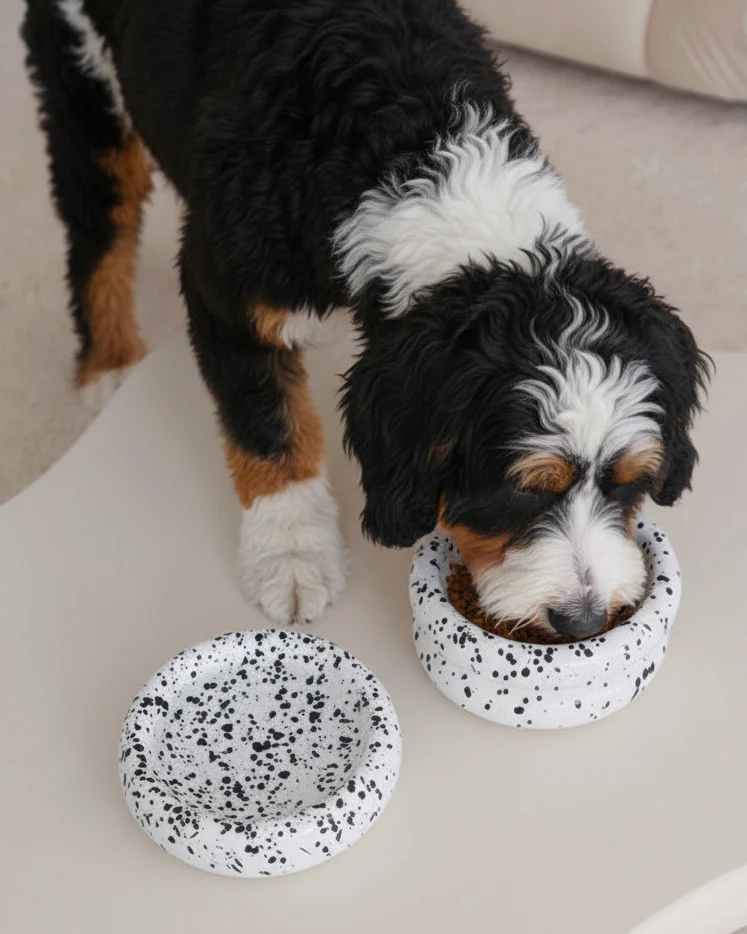 Modern Muse Low Halo Pet Bowl in Ink - Image 3