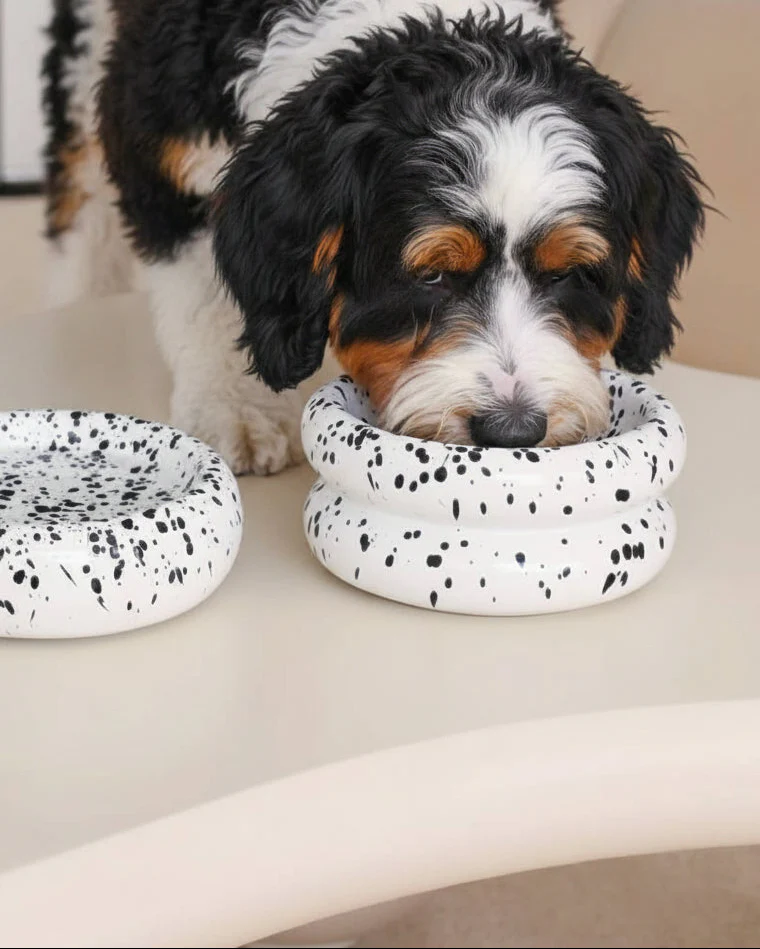 Modern Muse Halo Pet Bowl Set in Ink - Image 3