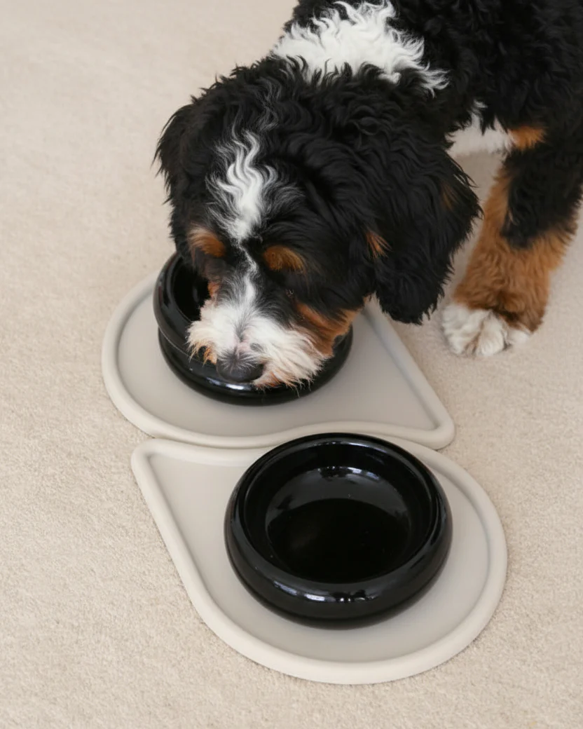 Modern Muse Low Halo Pet Bowl in Onyx - Image 2