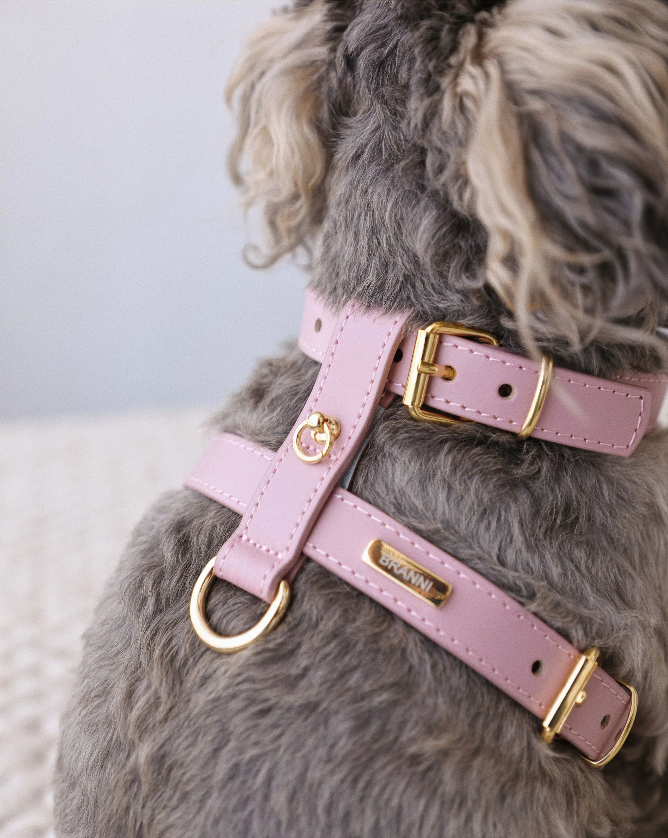 Palermo Mauve Leather Dog Harness - Image 2
