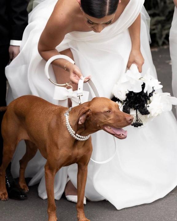 Prance Down the Aisle Wedding Leash Set - Image 4