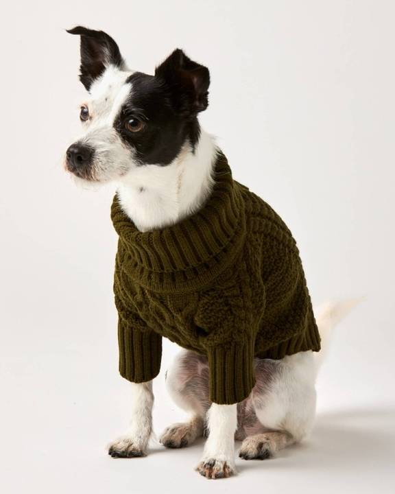 Olive You A Lot Green Cable Knit Dog Sweater