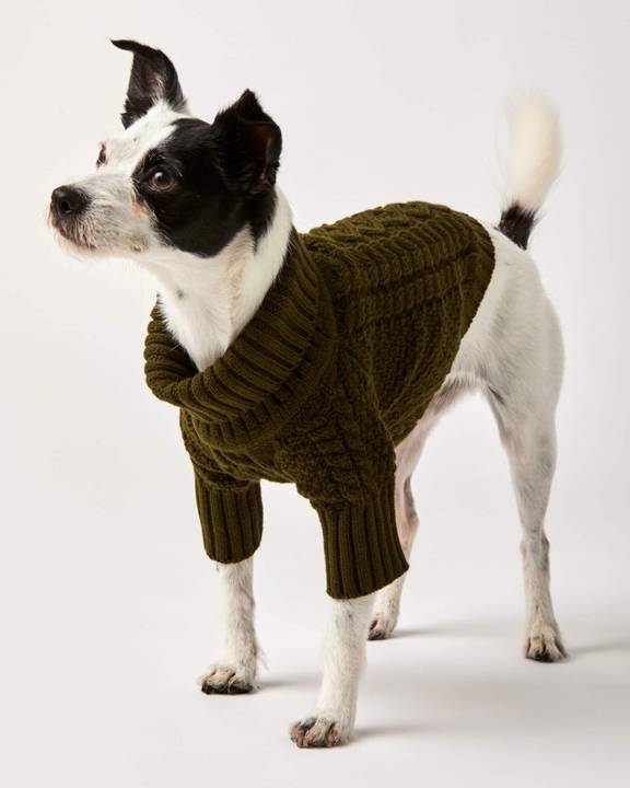 Olive You A Lot Green Cable Knit Dog Sweater - Image 6