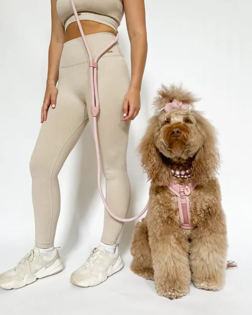 Sunday Stroll Rose Dog Harness - Image 3