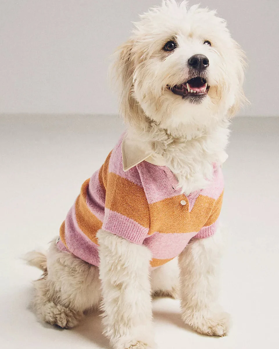 Prep School Pup Pink + Orange Striped Rugby Sweater - Image 5
