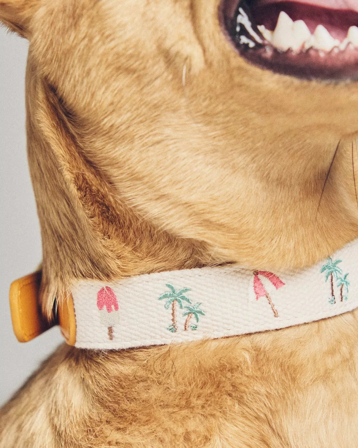 Endless Summer Embroidered Dog Collar - Image 5