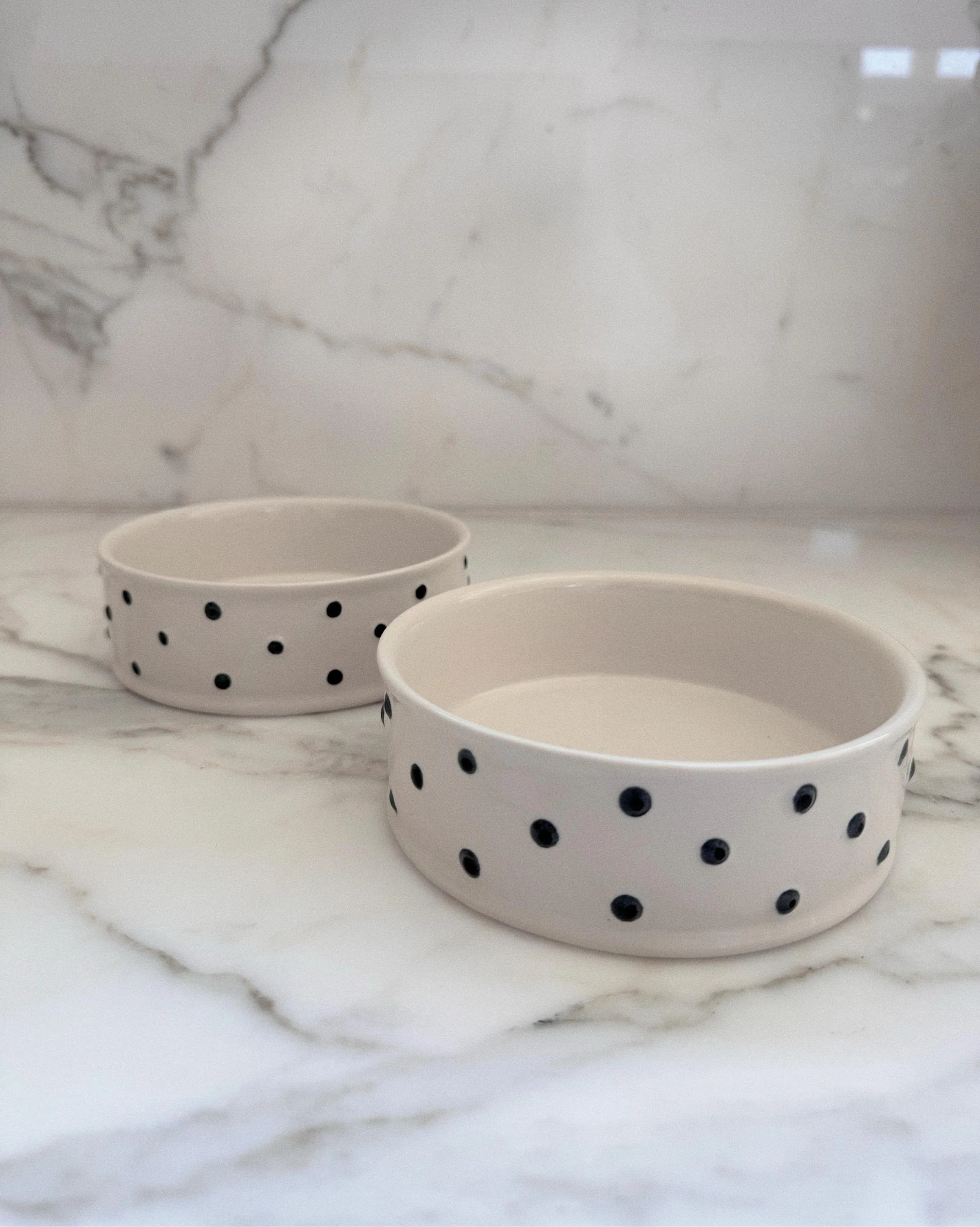 Connect the Dots Polka Dot Dog Bowl - Image 2