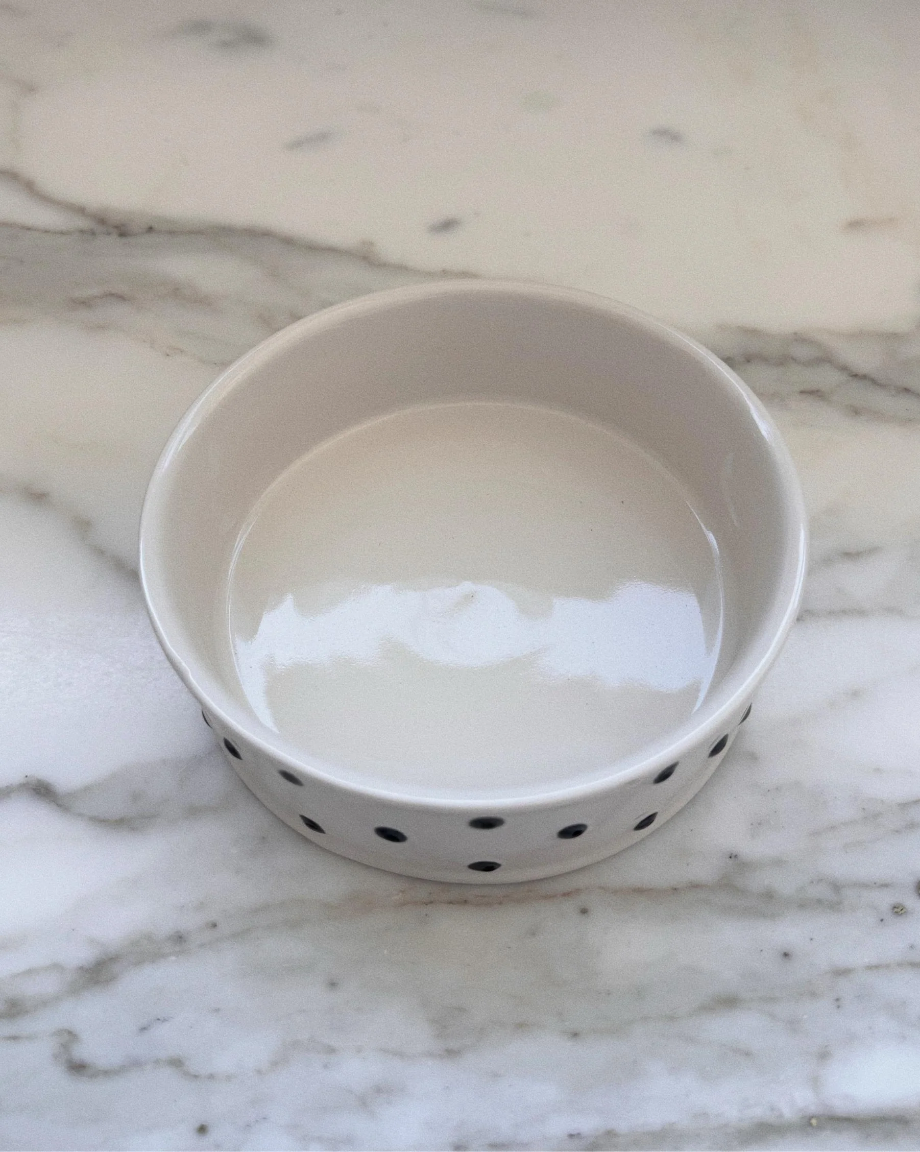 Connect the Dots Polka Dot Dog Bowl - Image 4