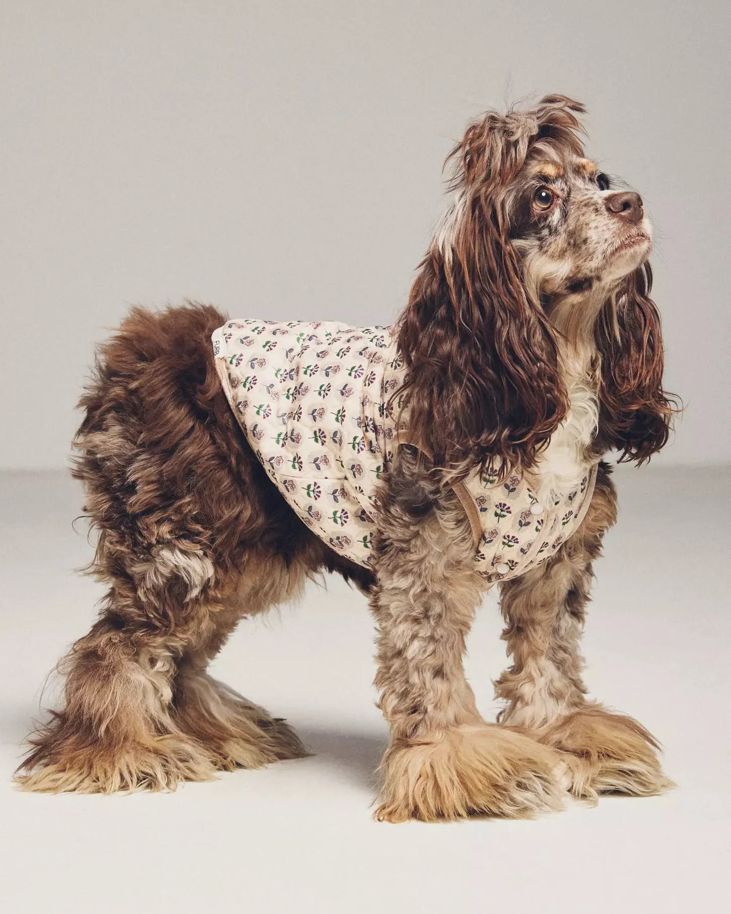 Fur-get Me Not Floral Quilted Dog Vest - Image 2