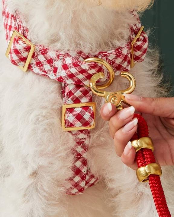 Perfect Picnic Red Gingham Dog Harness - Image 4