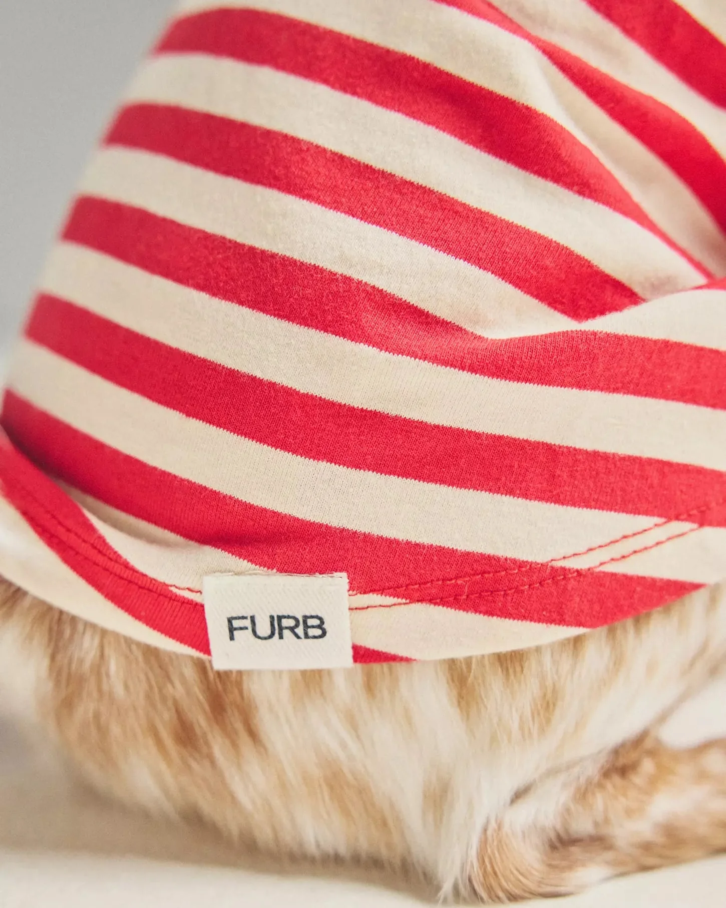 Casual Cutie Red + White Relaxed Dog T-Shirt - Image 8