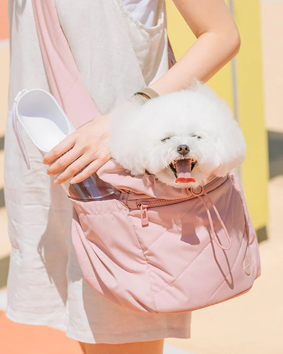 Roundtrip Cutie Pink Petite Pet Carrier