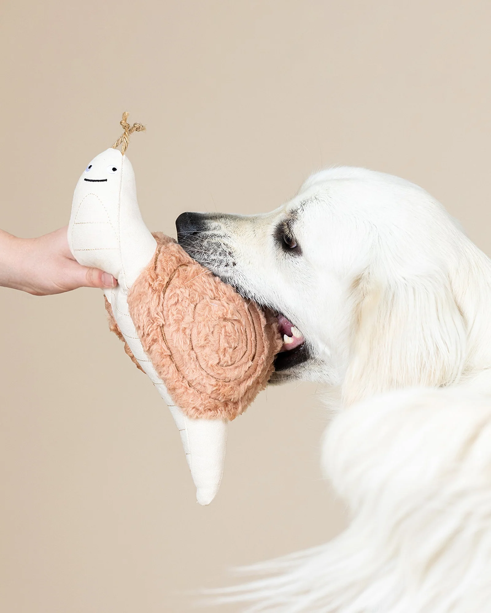 Snail’s Pace Earth Friendly Dog Toy - Image 2