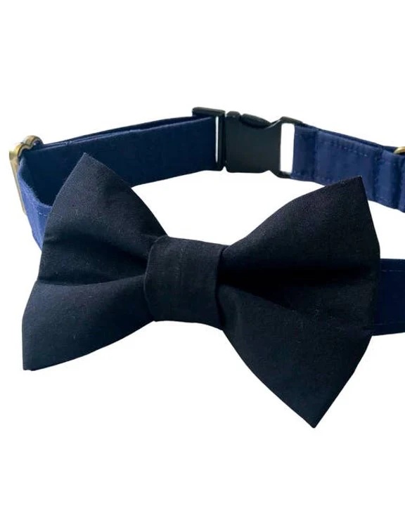 Take a Bow Black Cotton Bow Tie - Image 2