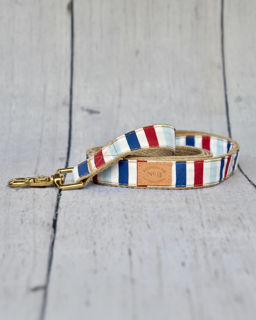 Sunny Stroll Nautical Striped Dog Leash