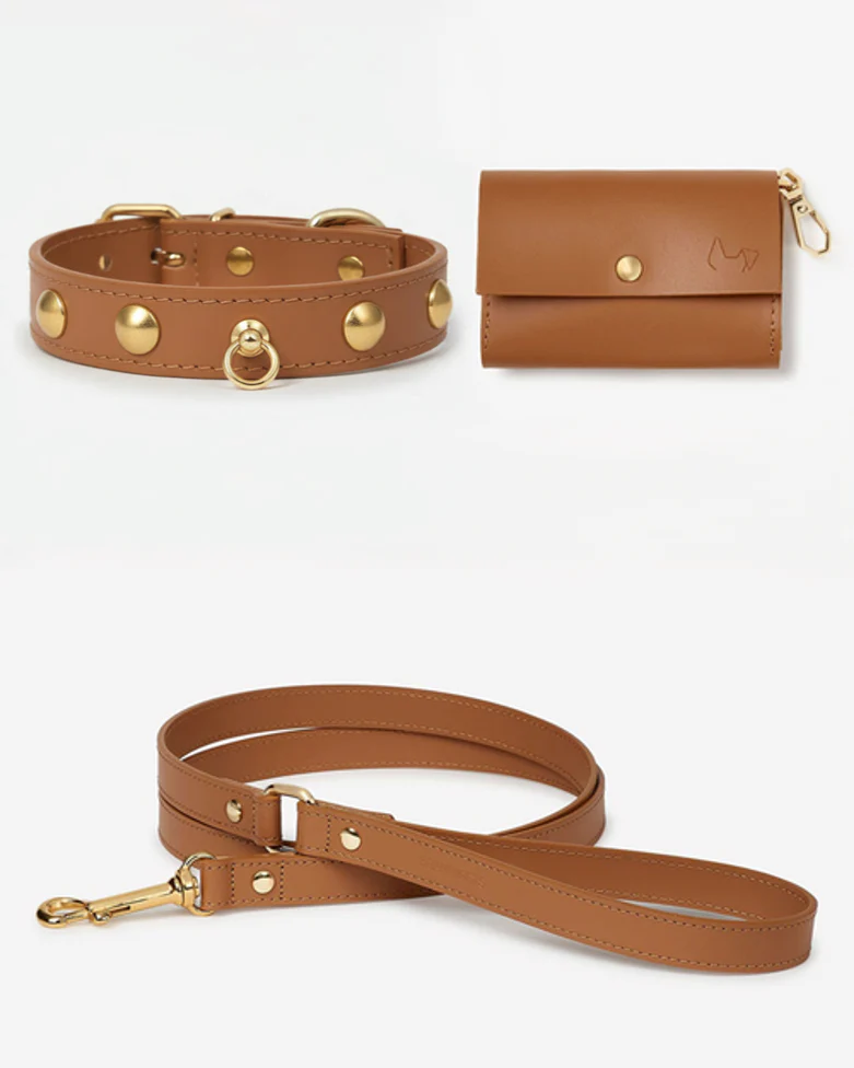 Nara Studded Collar Camel Leather Walk Kit