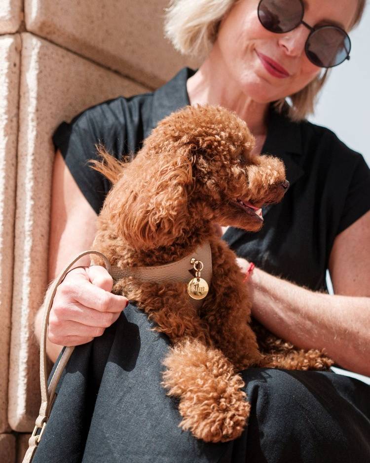 Nara Taupe Leather Dog Leash - Image 2