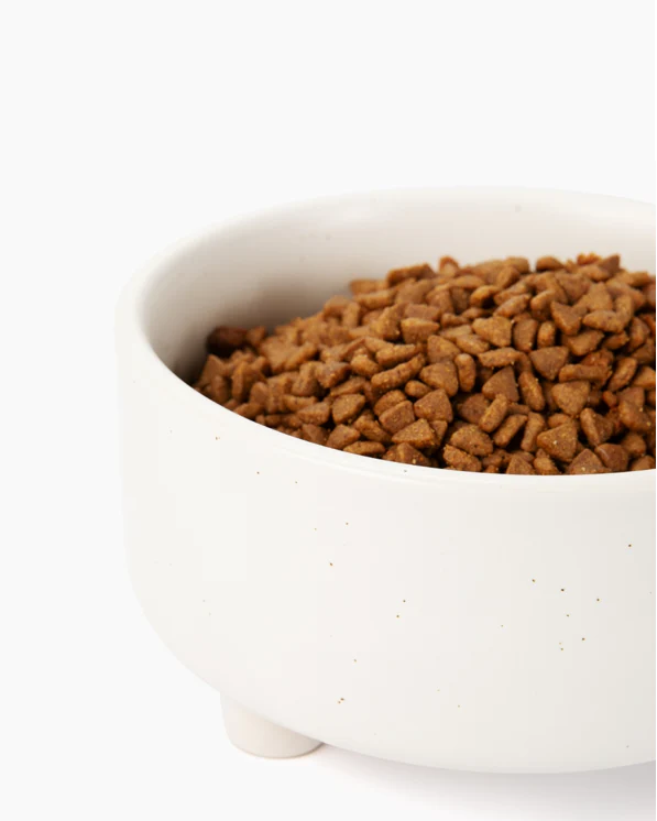 Treat Yourself White Ceramic Dog Bowl - Image 2