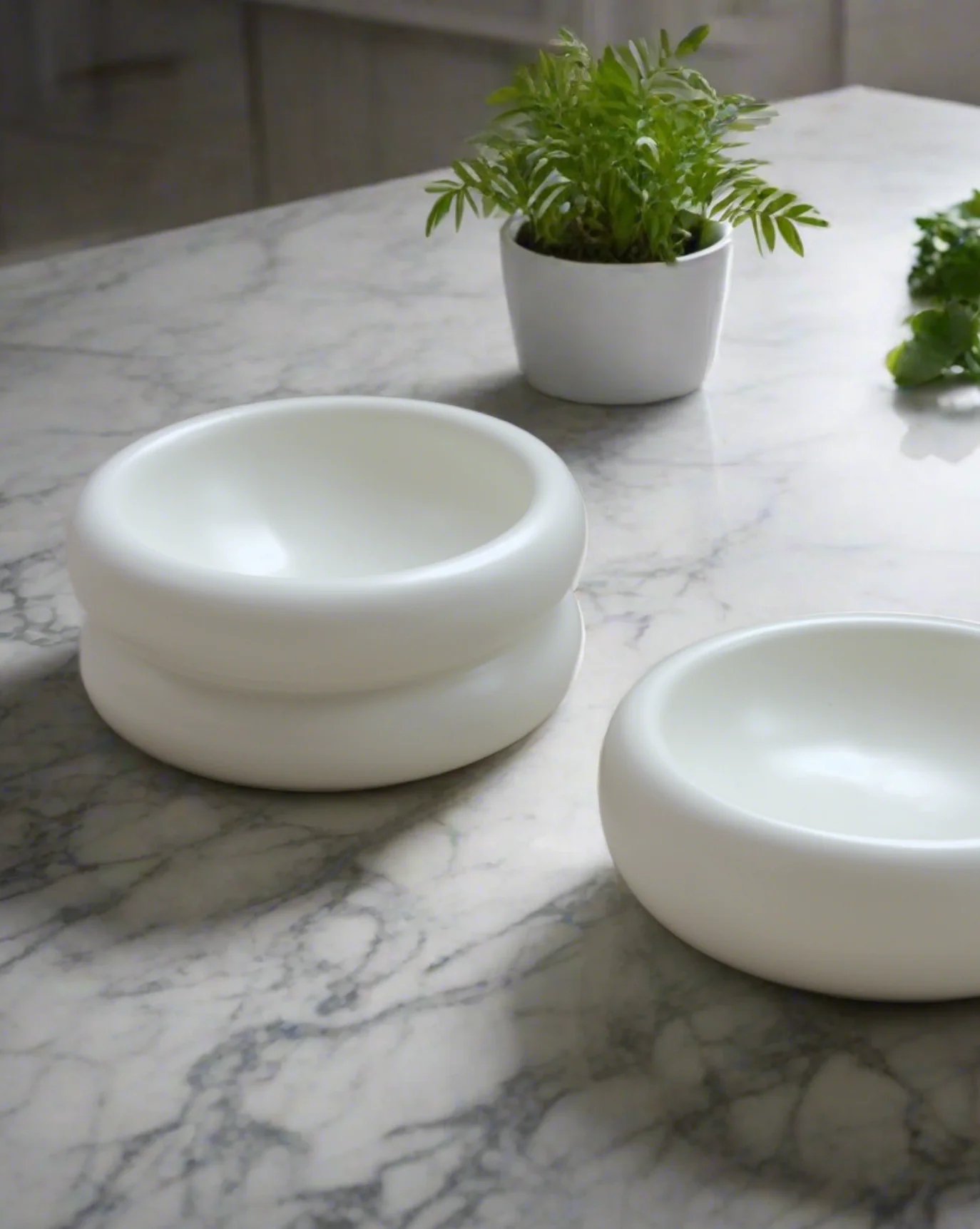 Modern Muse Tall Halo Pet Bowl - Image 3