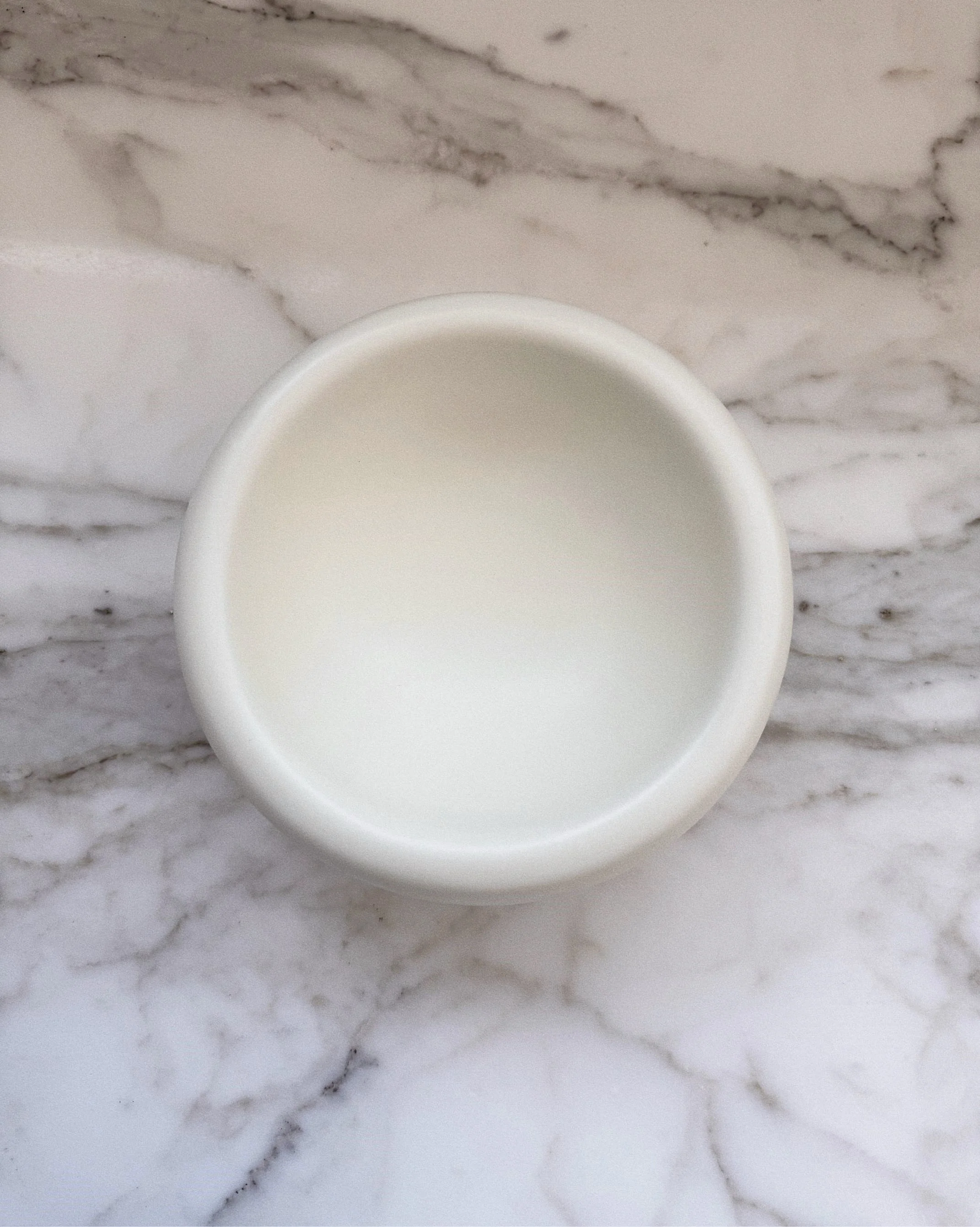 Modern Muse Tall Halo Pet Bowl - Image 5
