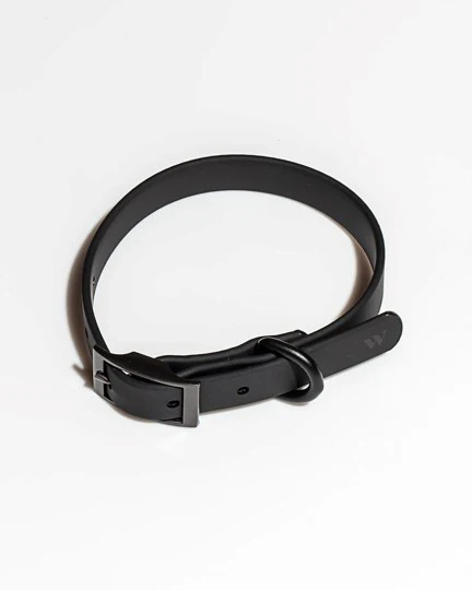 Wild One Black Dog Collar