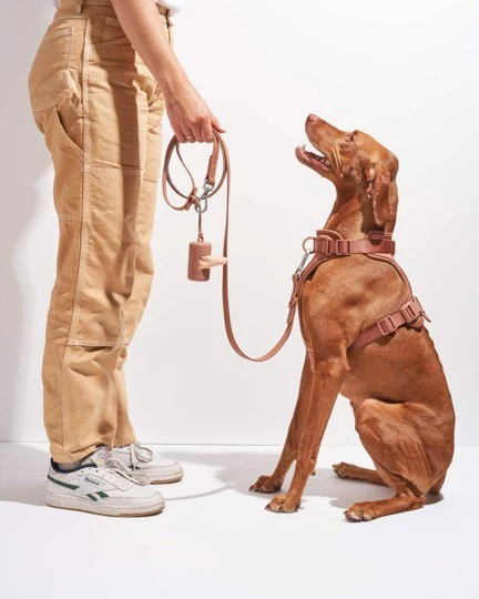 Wild One Cocoa Poop Bag Carrier - Image 4
