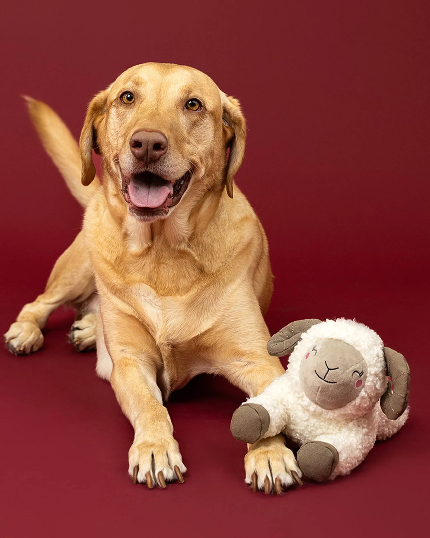 You Herd Me Bighorn Sheep Fuzzy Dog Toy - Image 2